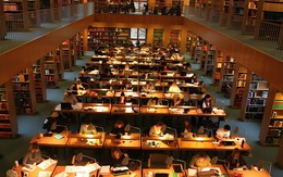 3 nhóm ngành có nhu cầu nhân lực lớn tại Việt Nam năm 2026