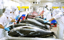 Doanh nghiệp TP.HCM điểm tên nhóm hàng chịu tác động từ xung đột Trung Đông