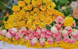 Giá hoa hồng 8/3 tăng kỷ lục: Khách bất ngờ, tiểu thương TP.HCM lo ế