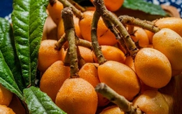 4 loại “trái cây vàng” giúp tiêu đờm, làm sạch phổi: Nhiều người ăn mỗi ngày mà không biết công dụng