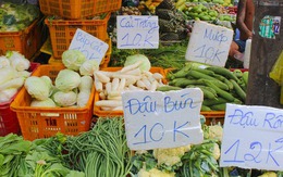 5 loại rau nhiều canxi hơn sữa, bán la liệt ở chợ Việt