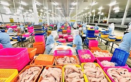 Hộ kinh doanh phải báo cơ quan thuế các tài khoản nhận tiền