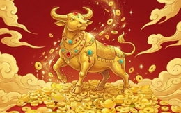 4 con giáp sau 30 tuổi có tiền vào đều đặn, bước vào giai đoạn tài lộc lẫn sự nghiệp đều thăng tiến, dễ gặp quý nhân