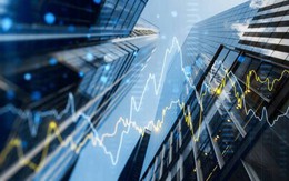 Một công ty công nghệ tài chính báo lãi sau thuế hơn 137 tỷ đồng, thu hẹp quy mô nợ vay