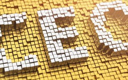 Phê duyệt Chương trình đào tạo, bồi dưỡng 10.000 giám đốc điều hành