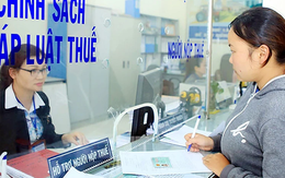 Cơ quan Thuế cảnh báo: Hộ kinh doanh, doanh nghiệp có thể mất tiền oan nếu làm theo việc này
