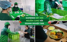 Nền tảng cung ứng Kamereo công bố kế hoạch tuyển dụng năm 2026