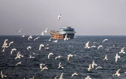Iran chỉ cho phép tối đa 15 tàu đi qua eo biển Hormuz mỗi ngày