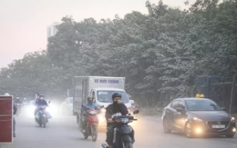 480.000 EURO triển khai Dự án 'Phố thở - Hà Nội thở'