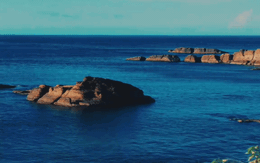 Khuyết điểm của Khoai Lang Thang