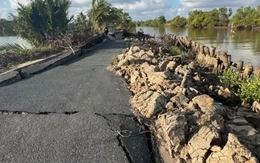 Cà Mau: Đường mới sửa sụp lún, phong tỏa khẩn cấp