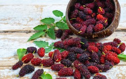 Loại quả mọc dại ở Việt Nam: rẻ hơn 30 lần việt quất nhưng dinh dưỡng lại tương đương