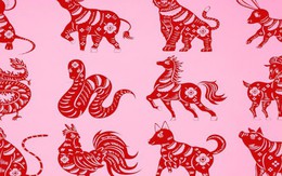 Từ tháng 4 đến tháng 6: 3 con giáp có tín hiệu tăng tài lộc, dễ gặp cơ hội cải thiện thu nhập và ổn định tài chính