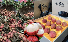 Loại quả ở Việt Nam bán rẻ như cho bỗng thành hàng hiệu xuất ngoại, chạm mốc 450.000 đồng/ ký vẫn được khách quốc tế vẫn ráo riết săn lùng
