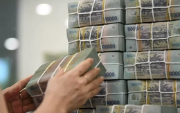 Hành động của doanh nghiệp có... núi tiền