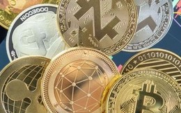 Những chiêu trò đằng sau cú sập của ONUS