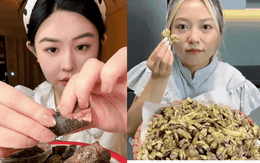 Hè đến rồi, loại ốc "ngón tay quỷ" này lại lên ngôi: Khó bắt - giá đắt, ở Việt Nam không phải vùng biển nào cũng có!