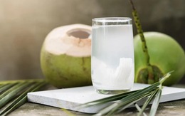 Nước dừa có thể uống thay thế nước lọc không? Sự thật không phải ai cũng biết