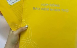 Vì sao khi kết thúc hợp đồng bảo hiểm, nhiều người chỉ nhận về một phần nhỏ số tiền đã đóng?