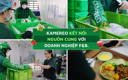 Nền tảng cung ứng Kamereo công bố kế hoạch tuyển dụng năm 2026