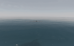 Đàn cá voi 100 con áp sát thuyền du khách tại Phú Quý: Báo hiệu điềm lành, truyền thông Thái Lan khen ngợi hết lời