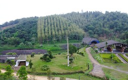 Thanh Hóa xin gỡ "nút thắt" cho công viên sinh thái tre luồng 300 tỉ đồng