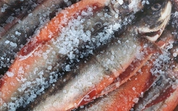 3 loại cá "bẩn nhất chợ", ít dinh dưỡng, tiềm ẩn độc tố nhưng nhiều người Việt lại cực mê