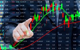 Chuyên gia quốc tế nói gì về lo ngại thị trường phụ thuộc vào cổ phiếu “họ Vingroup”?