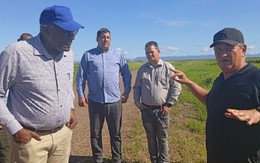 Cứ thứ Hai hàng tuần, nhiều người VN và nông dân Cuba cùng nhau làm 1 việc ý nghĩa trước khi ra cánh đồng