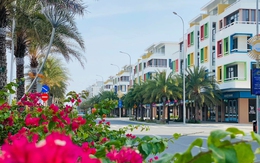 Các 'huyền thoại' ngành sản xuất của Việt Nam như Hòa Phát, Tân Á Đại Thành, Bitis, KIDO đang làm bất động sản ra sao?