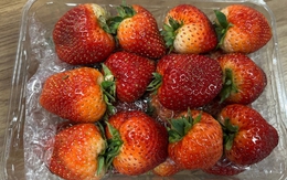 Cặp vợ chồng ngoài 20 tuổi cùng mắc ung thư gan, "thủ phạm" là loại trái cây quen thuộc nhưng độc hơn rắn hổ mang