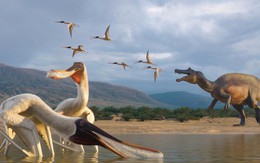 Quái vật thế giới chưa từng biết "trỗi dậy" từ khối đá trong bảo tàng