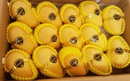 Loại quả bán đầy chợ Việt nhưng ra nước ngoài lại hóa "vàng ròng" mang về trăm triệu USD, chinh phục hơn 40 quốc gia