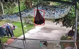 Shipper đến nhà lấy đơn hàng hoàn nhưng không có ai, chủ về trích xuất camera an ninh đăng khắp nơi