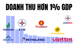 Tỷ phú Phạm Nhật Vượng tự hào doanh thu Vingroup tương đương 2,6% GDP Việt Nam: Những ông lớn nào làm được điều tương tự?