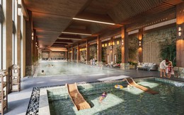 Người cao tuổi sống độc lập có thực sự cô đơn như chúng ta nghĩ?