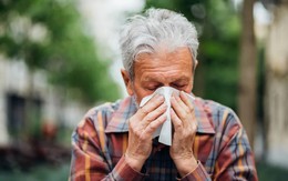 33 triệu ca nhiễm mỗi năm: Virus này có thể là “sát thủ thầm lặng” khiến tuổi thọ người Việt suy giảm