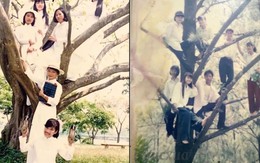 Dân mạng trẻ thắc mắc tại sao thế hệ 7x, 8x toàn chụp ảnh trên cây