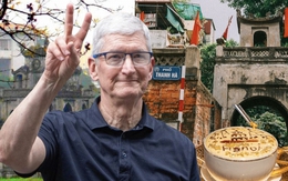 Việt Nam có nơi khiến CEO Apple Tim Cook phải lòng ngay lần đầu ghé thăm, sánh ngang Paris và Kyoto