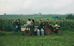 Doanh thu thuần Mộc Châu Milk đạt 741,6 tỷ đồng trong Quý I, kỳ vọng tăng trưởng năm 2026