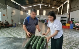 Tiết lộ khoản 'hoa hồng' cho hiệu trưởng để tuồn thịt lợn bệnh vào trường học