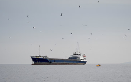 Tàu chở dầu 'ùn ùn' kéo về, thăm dò ngày Iran mở cửa eo biển Hormuz