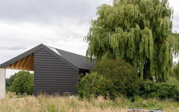 5 loại cây không nên trồng trước cửa nhà, vừa ảnh hưởng phong thủy lại có thể gây hại cho gia chủ