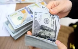 Lý do kiều hối về TPHCM giảm mạnh