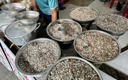 Giá vàng đu đỉnh cũng không bằng lon ốc lể miền Trung