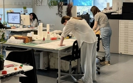 Đừng chọn thực tập không lương ở những công ty có dấu hiệu này