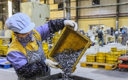 Hộ kinh doanh lưu ý gì trong kỳ kê khai thuế đầu tiên?