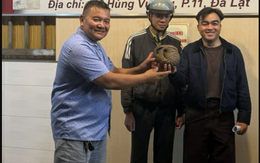 Thấy tê tê quý hiếm bò vào quán nhậu ở Đà Lạt, chủ quán gọi báo kiểm lâm