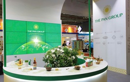 PAN Group công bố BCTC quý I/2026 với lợi nhuận gấp 40 lần, hoàn thành 87,5% kế hoạch