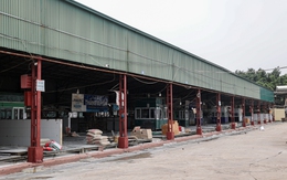 Cận cảnh lò mổ tuồn gần 300 tấn lợn bệnh vào trường học, chợ đầu mối ở Hà Nội